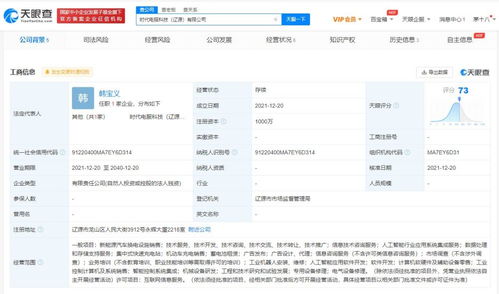 數(shù)據(jù)處理及存儲服務(wù)的核心價值與未來展望