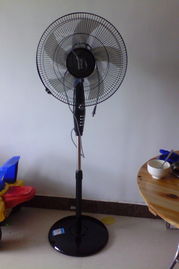 北海家電消費(fèi)新趨勢(shì) 智能與節(jié)能成家庭升級(jí)主角